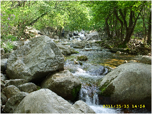 유명산계곡.JPG